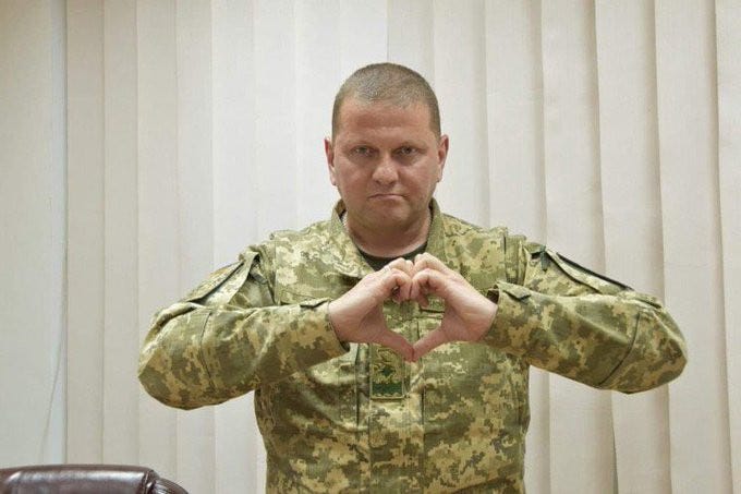 The Ukrainian Commander-in-chief Valerii Zaluzhnyi