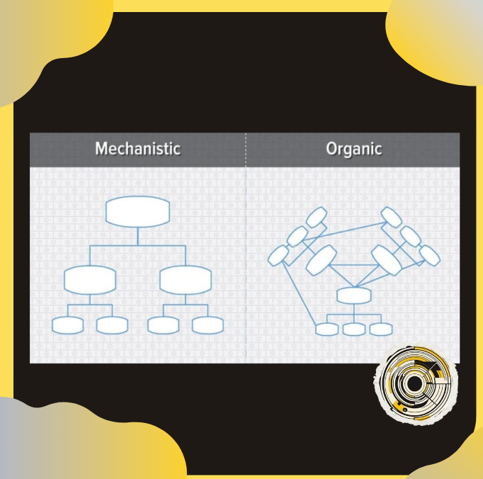 A diagram showing two organigram structures. One called mechanistic, which has lots of bureaucracy and hierarchy and the other one called organic where the different departments are interconnected, making it easier for employees to collaborate and share experience.