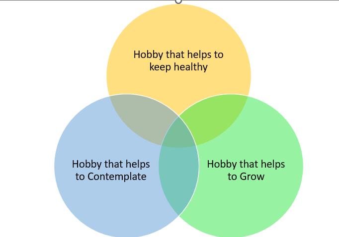 Hobby Framework for Accelerated Gowth