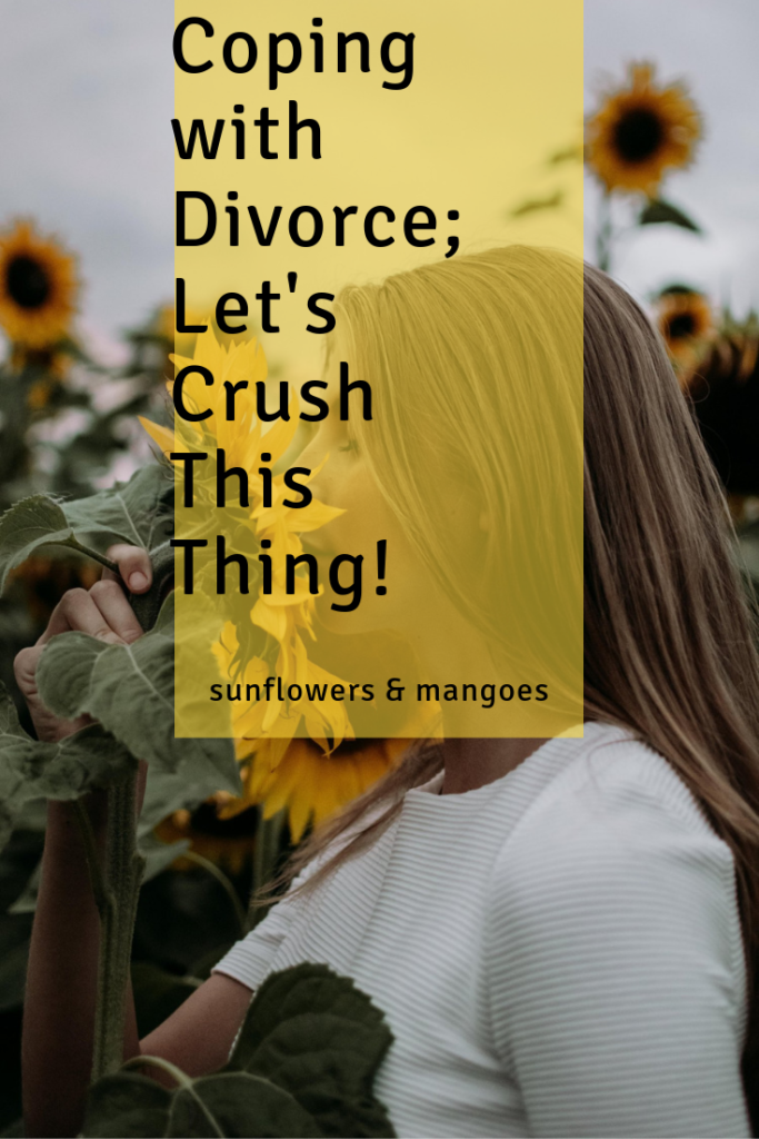 Coping with Divorce; Let's Get You Crushing It.