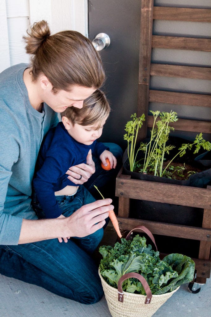 Father & Son planting a fall vegetable garden