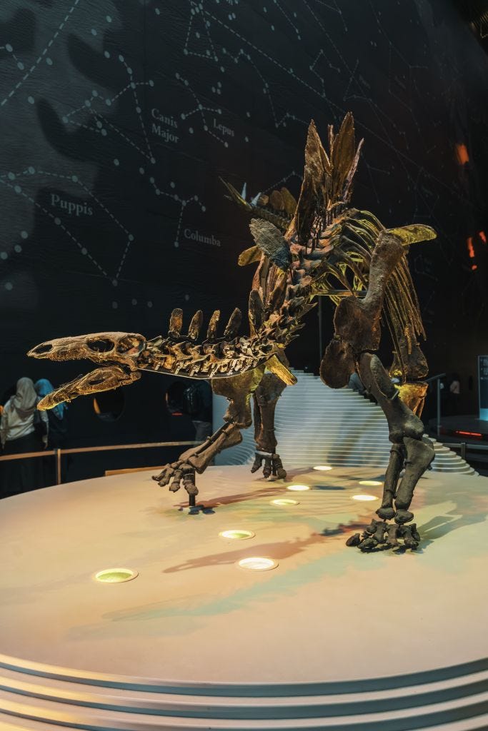 Did Dark Matter Kill the Dinosaurs-