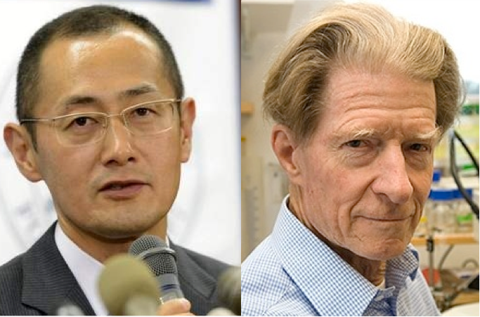 2012 Nobel Laureates Yamanaka and Gurdon