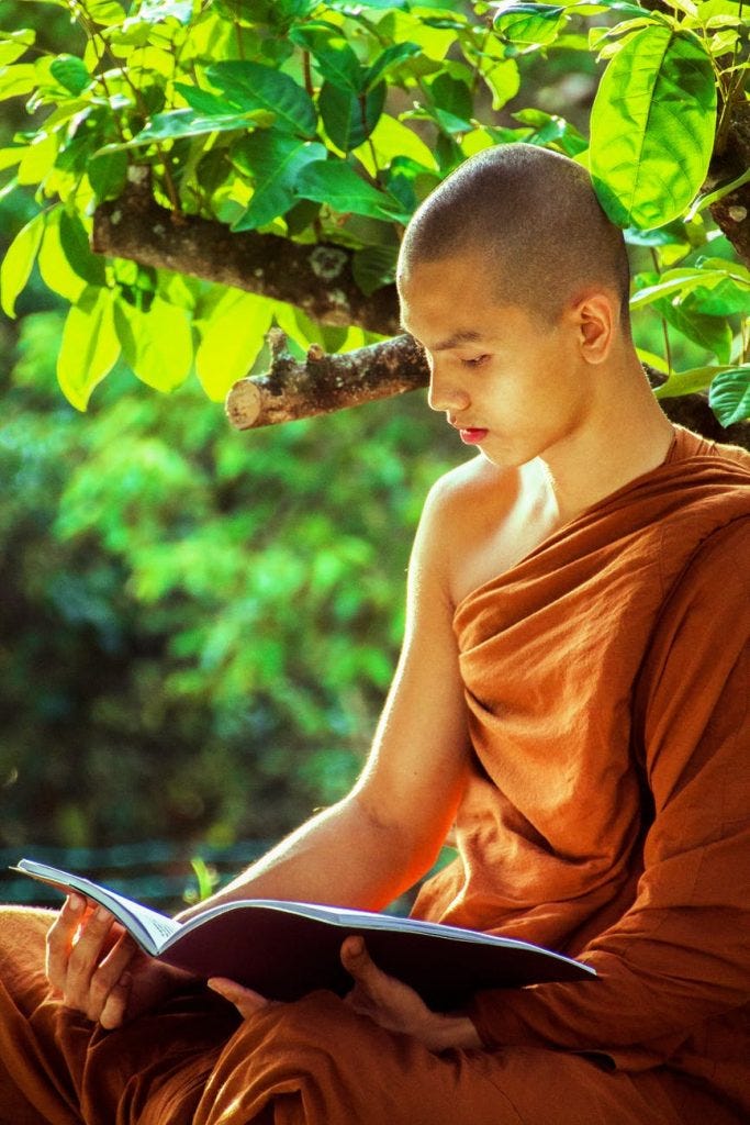 A young cultivator reads book.