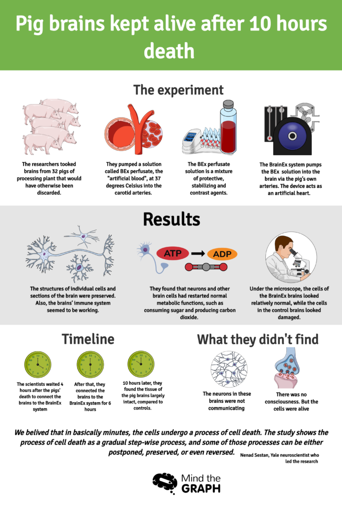 brain damage nature