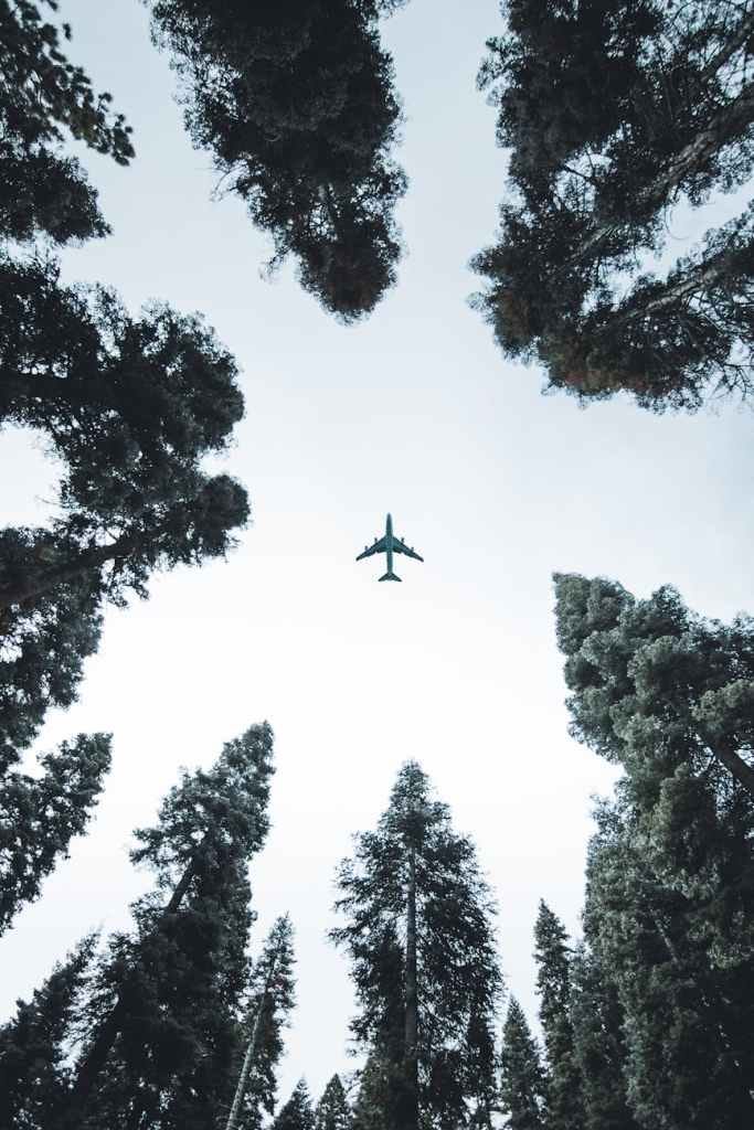 The Sky Was Never the Limit: Air travel as the most extravagant mistak