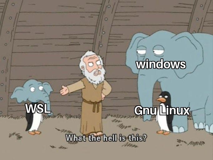 A meme about the WSL