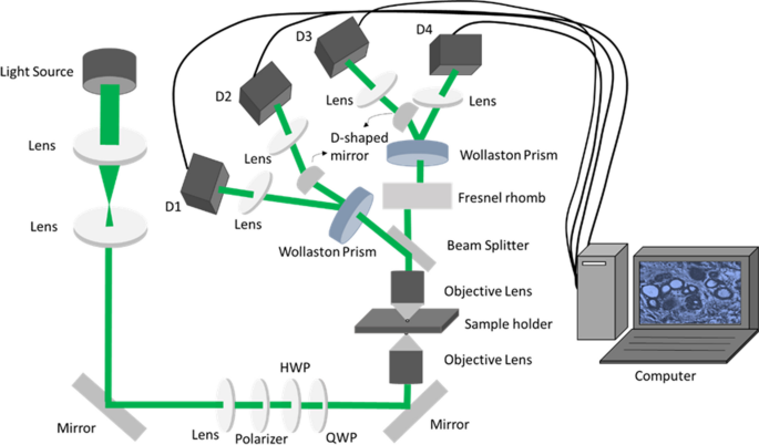 Advancing Cancer Diagnosis: The Role of Stokes-Mueller Polarimetry and Machine Learning