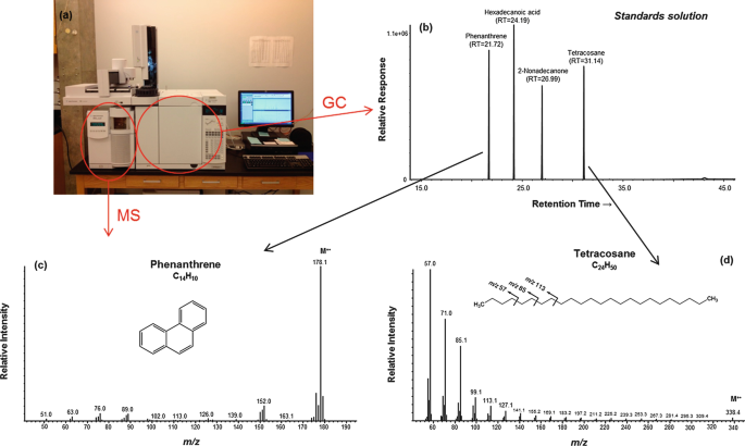 GC-MS with its chromatograms