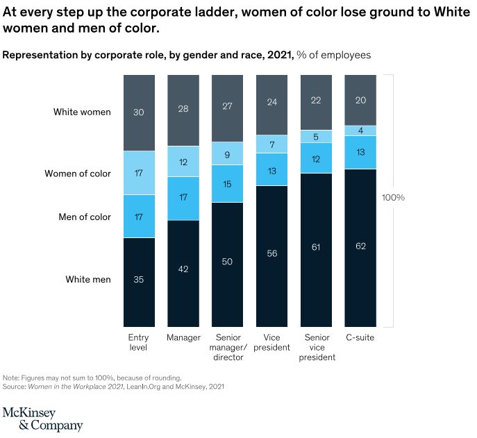 Graph breaking down corporate roles by gender and ethnicity