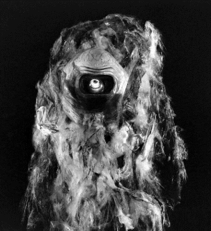 alien from it came from outer space 1953