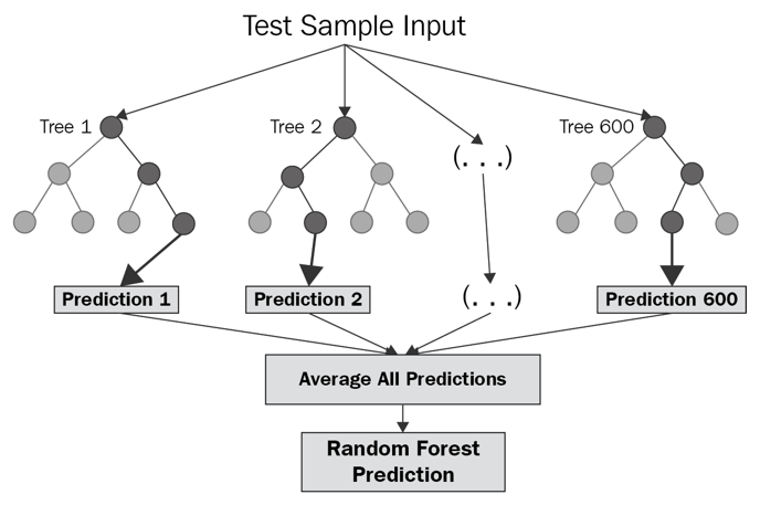 Random Forest Models in Financial Operations