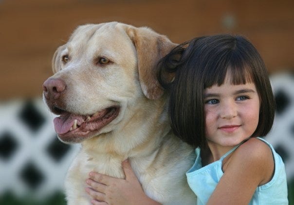 PHOTO COURTESY OF SAM'S HOPE Sam’s Hope is a nonprofit dedicated to providing food and care for the pets of people in need. The organization's newest drive location is the Pet Valu in Huntingdon Valley.