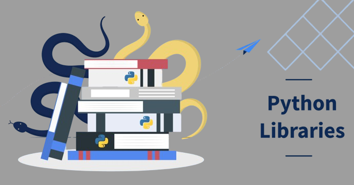 Python Libraries in 2024