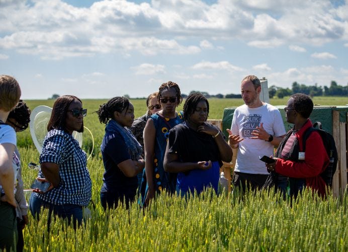 Food Systems Research Network for Africa mentors and fellows stood in a field of crops at the University of Leeds farm in June 2022. Picture by Motus TV.