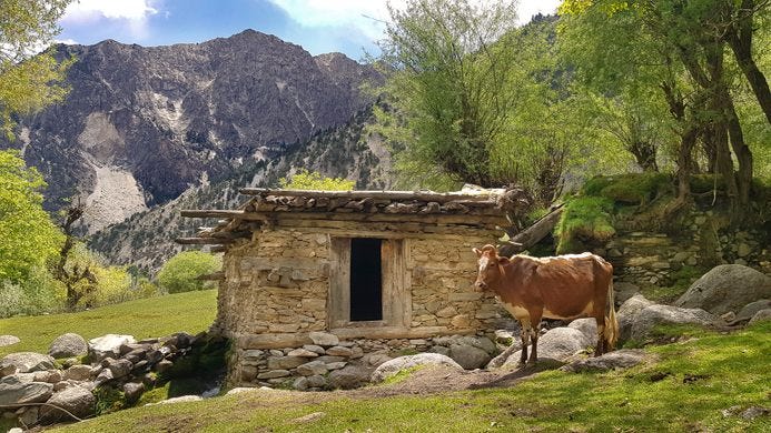 chitral kalash valley