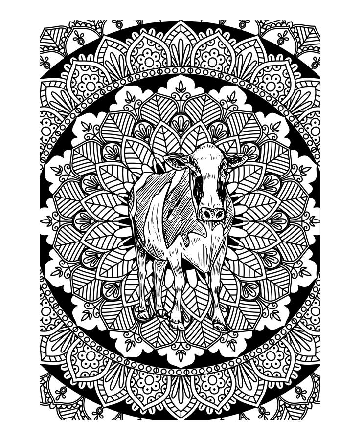 cow adult coloring page 1