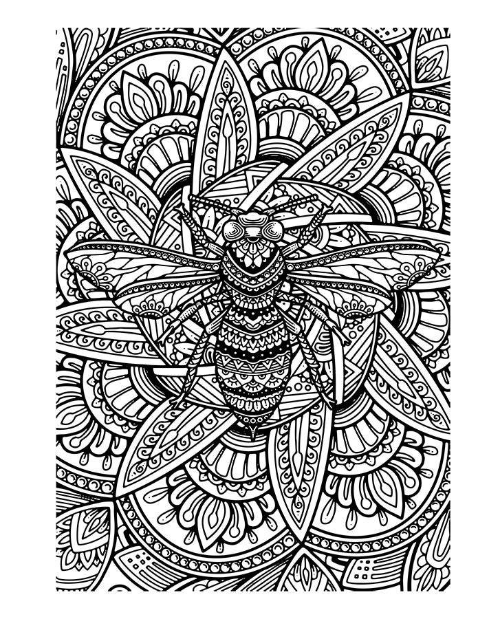 Bess adult coloring page 2