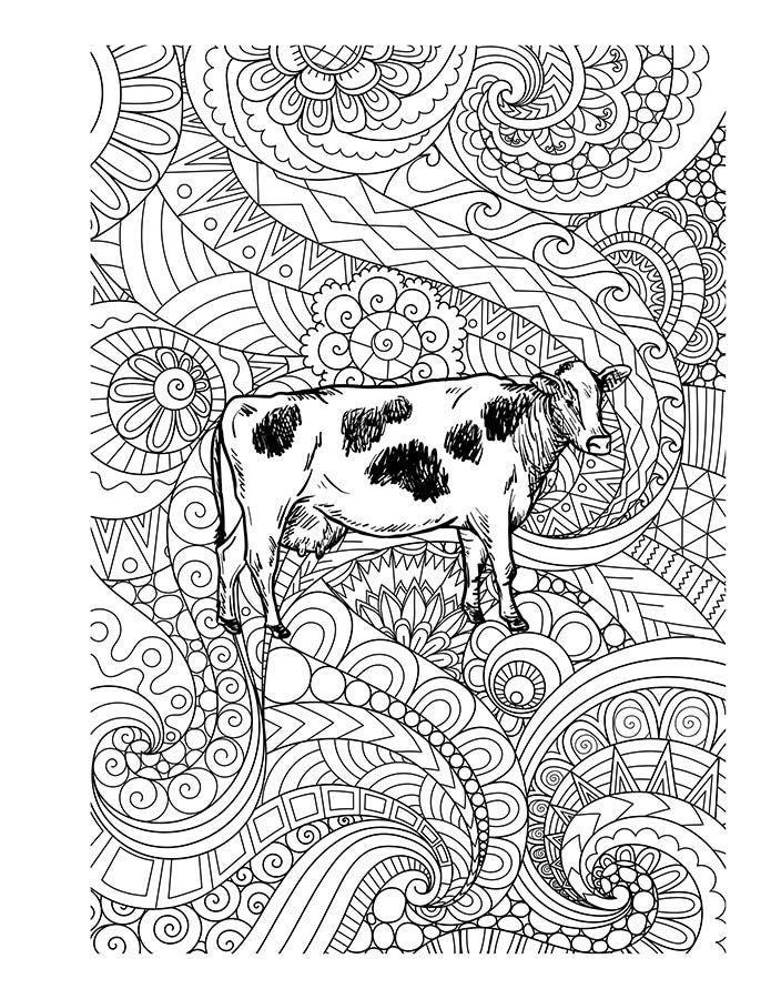 Cow adult coloring page 2