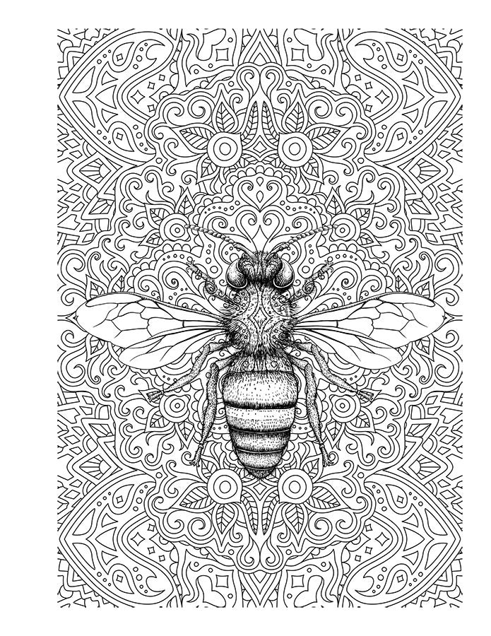 Bees adult coloring page 1