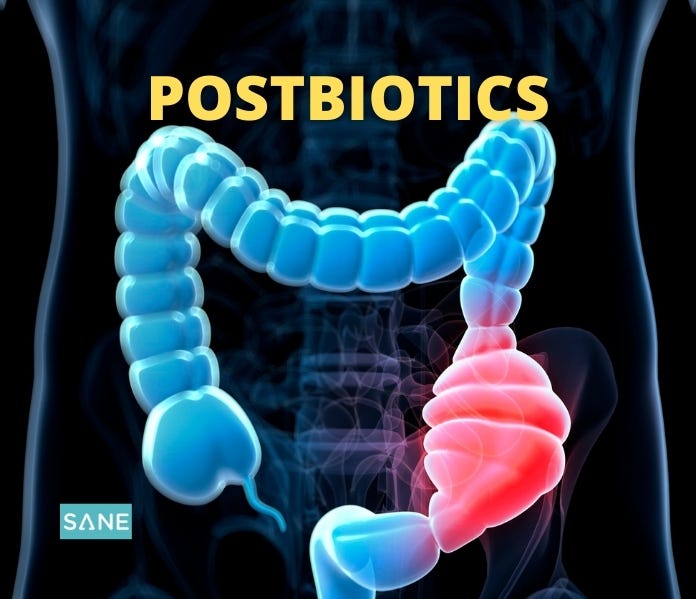 postbiotics act in the lower colon as highlighted