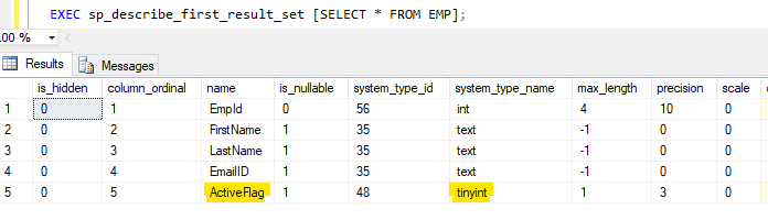 Schema of a table showing the column ActiveFlag as tinyint in the database