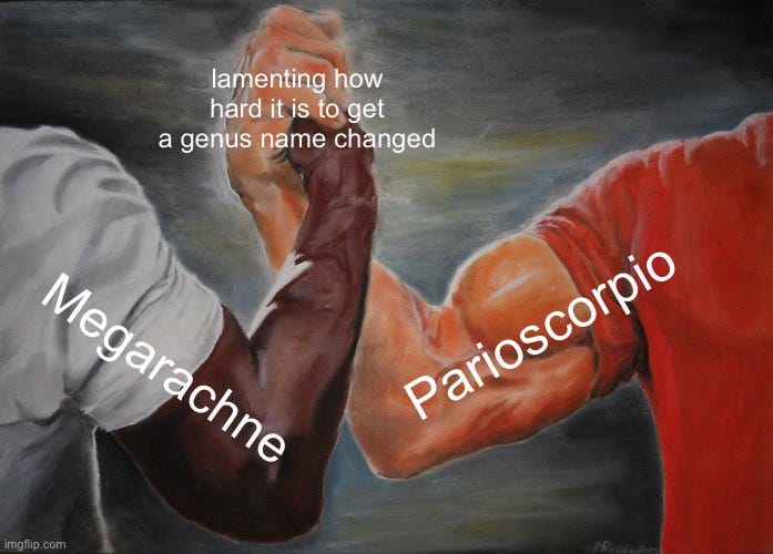 [Handshake meme] Megarachne and Parioscorpio shaking hands: lamenting how hard it is to get a genus name changed