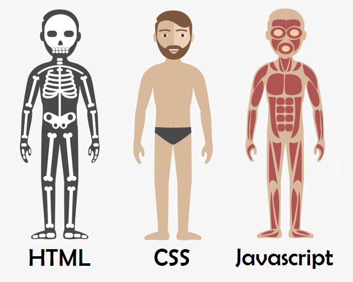 Exemplification of the union of HTML, CSS and Javascript