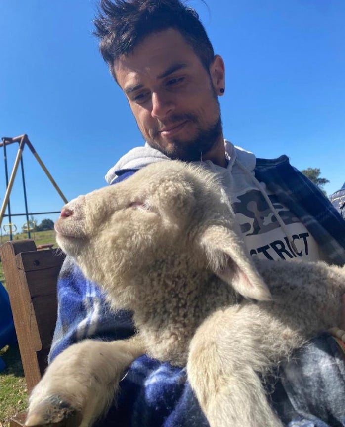 Me, sitting with a lamb on my lap, sun hitting his face. He looks happy and smiling at life