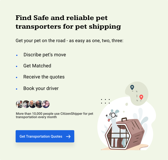 Find Safe and reliable pet transporters for pet shipping