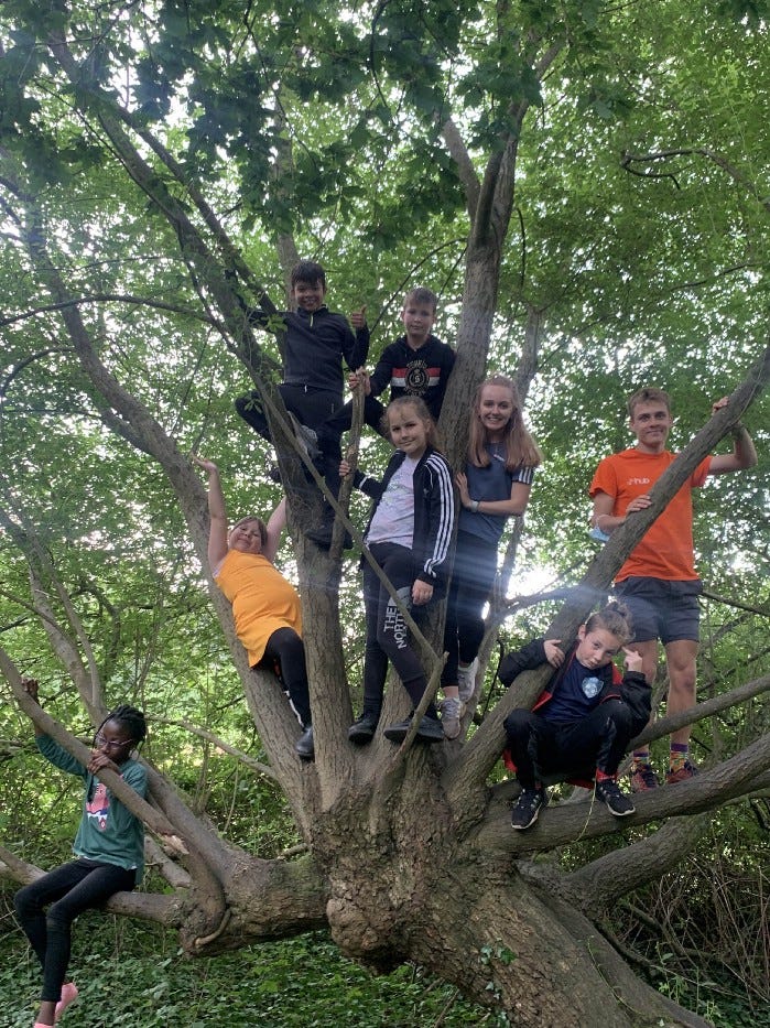 6 children and 2 student volunteers in a tree, smiling at the camera