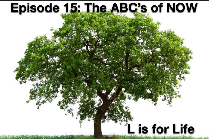Episode 15 in the ABC’s of NOW podcast series. L is for Life