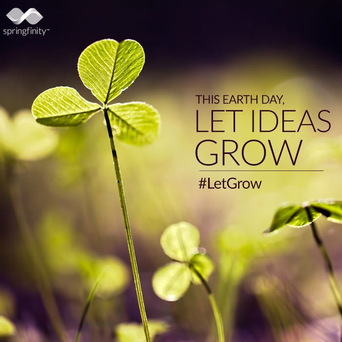 #LetGrow springfinity