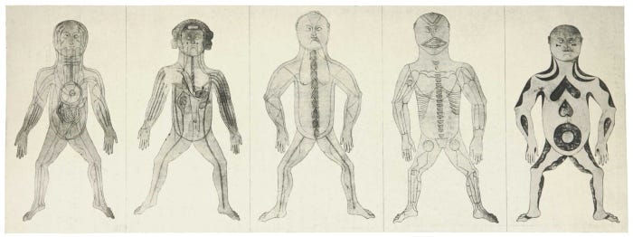 Five human figures outlined in a squat pose, each with different bodily system depicted inside.