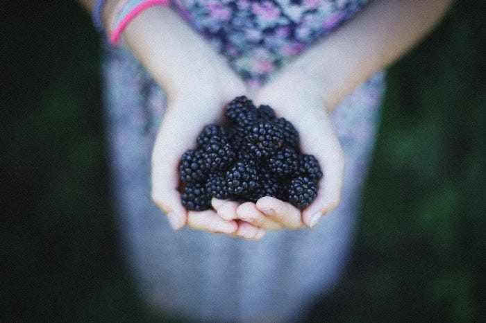 Blackberries