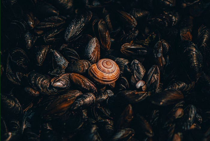 Secure SHell Made Simple: From installation to SSH Tunneling