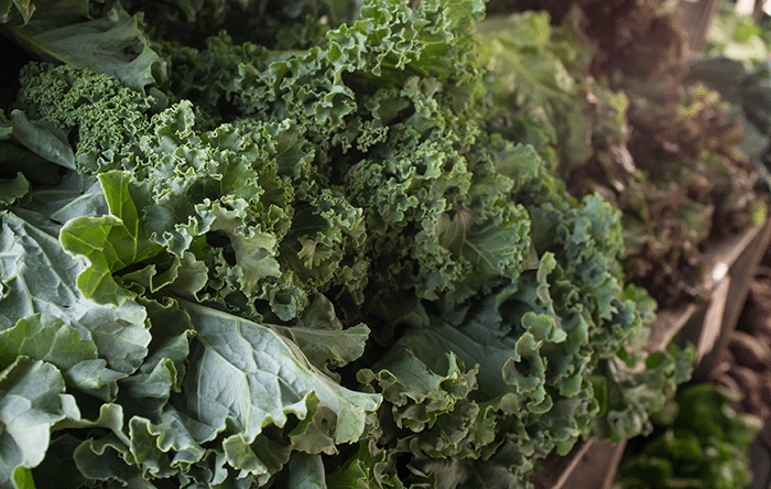 Raw kale