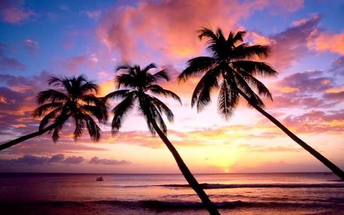 Sorry Florida … Californians Are Still 1!