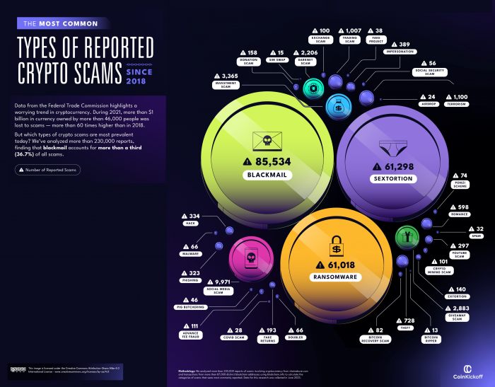 An infographic showing the most common types of reported crypto scams since 2018.