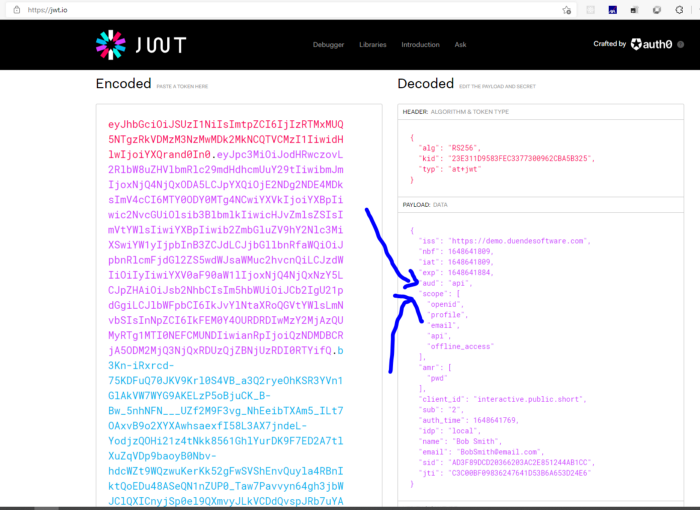 JWT example of a “access_token” that has the “audience” and the “scope”