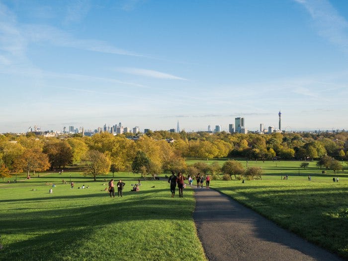 primrose hill london