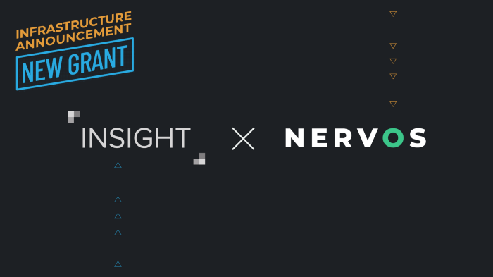 Infrastructure Announcement and New Grant Insight x Nervos