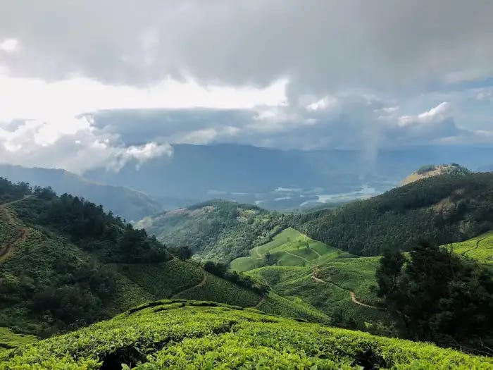 lush green Munnar in kerala, India with never ending teas estates