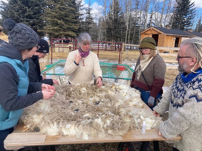 A group of 5 people stand around a wooden table on top of which is wool sheared from a sheep. The fields in the background suggests that this is a farm where sheep-shearing has occurred.