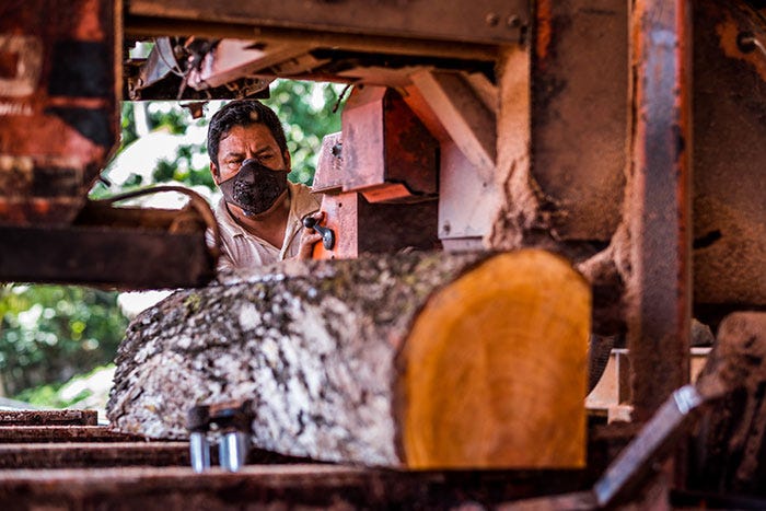 A worker wearing a protective mask is guiding a log through a large milling machine.