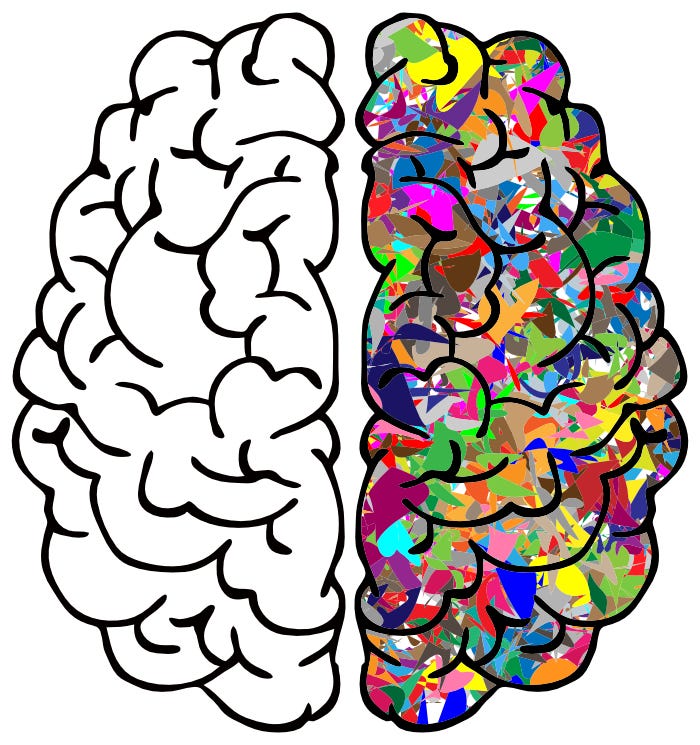 A picture of a brain divided into two parts: one with chaos (bad habits) and one with order (good habits).