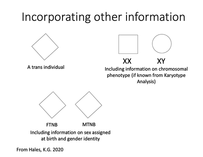 Sex inclusive pedigree symbols.