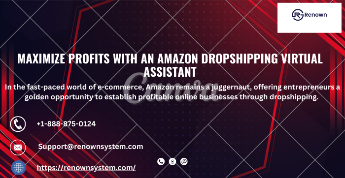 Amazon Dropshipping Virtual Assistant