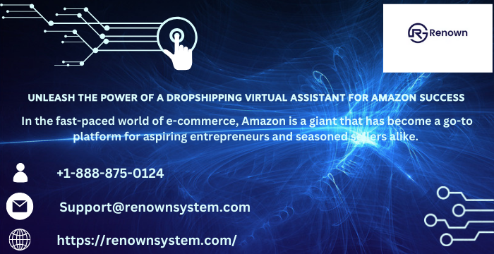 Unleash the Power of a Dropshipping Virtual Assistant for Amazon Success