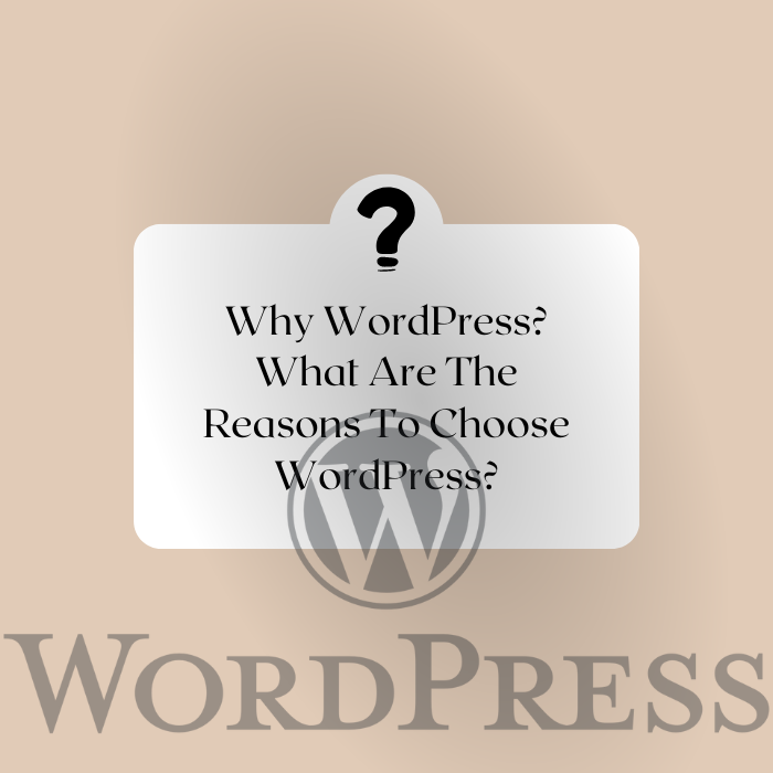 Why WordPress? What are the reasons to choose WordPress?